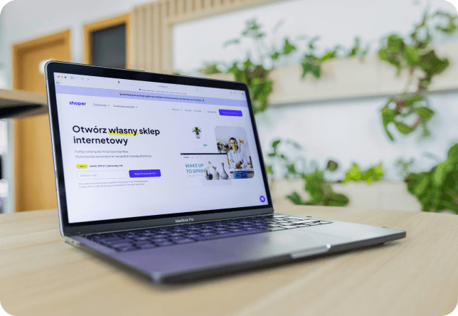 WebsiteDevelopment